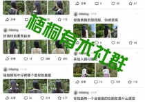 微头条复制粘贴背影图，1天50-300，可无限放大