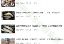 Deepseek创作钓鱼技巧，靠搜索流量每天有个100-300+收益